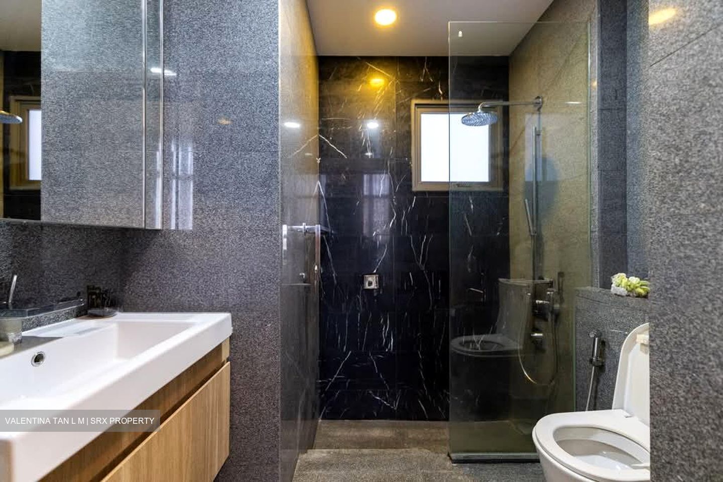 SeaHill (D5), Condominium #554430651